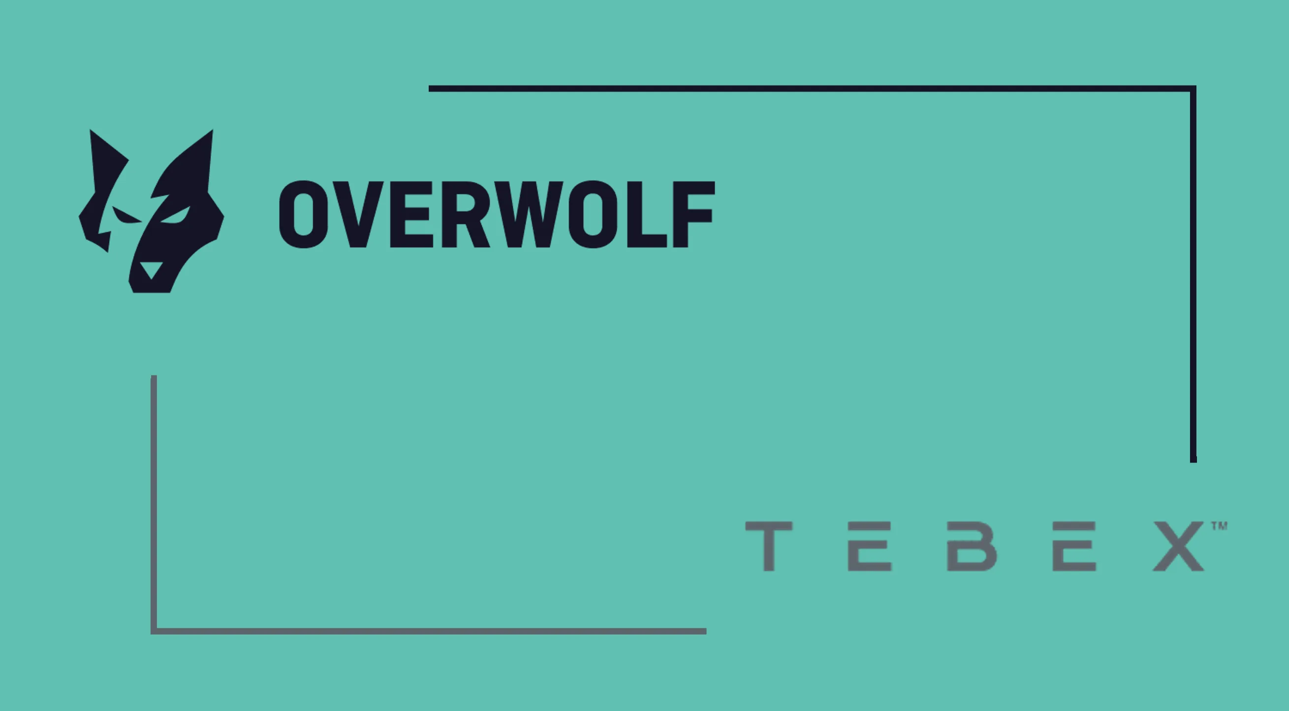Overwolf x Tebex