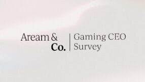 Aream & Co. Gaming CEO Survey 2025