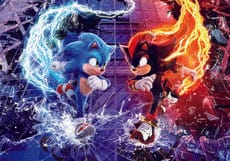 Sega Sammy Holdings FY2025 Integrated Report